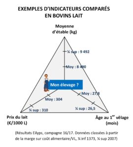 (Résultats Eilyps, campagne 16/17. Données classées à partir de la marge sur coût alimentaire/VL, ¼ inf 1373, ¼ sup 2007)