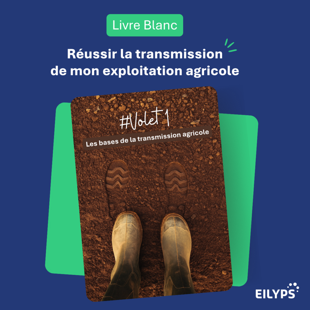 livre blanc transmission visuel