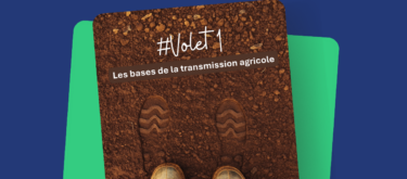 livre blanc transmission visuel
