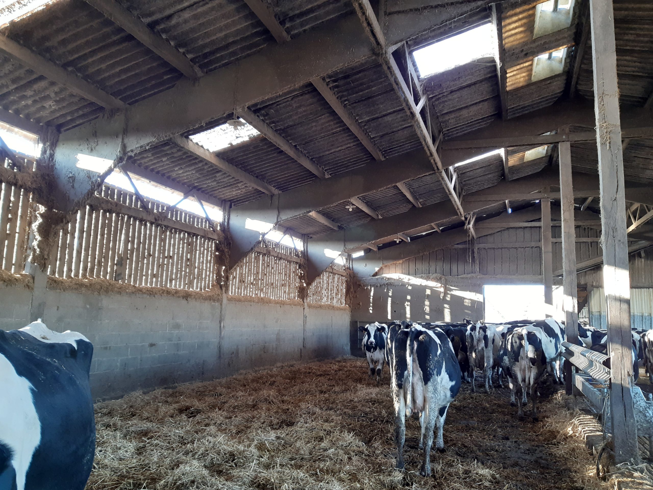 exemple d'ouverture libre ventilation élevage