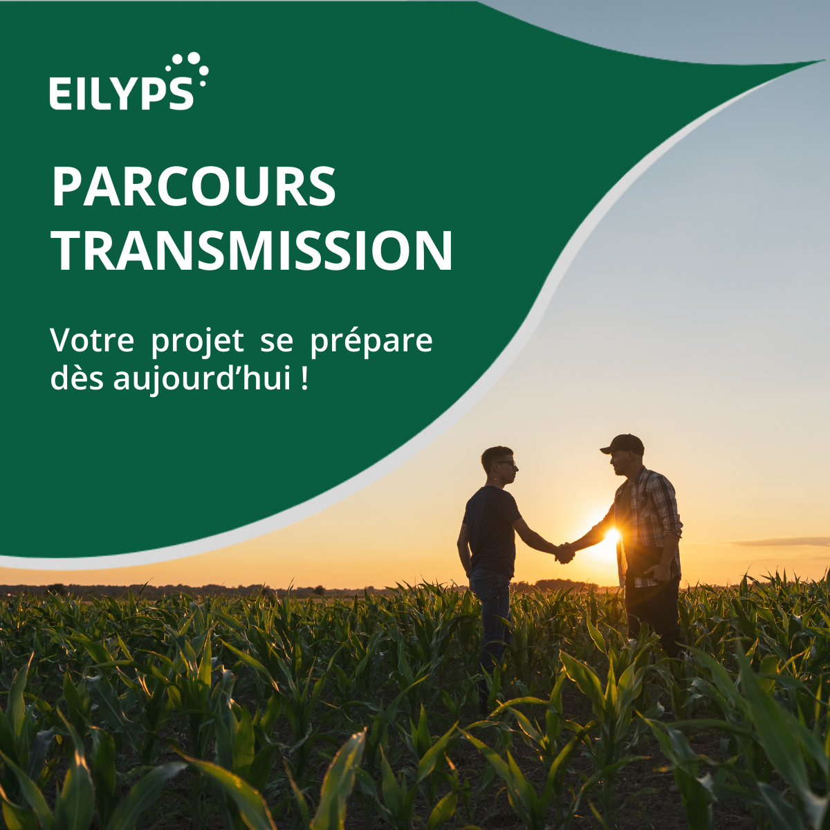 parcours transmission agricole eilyps