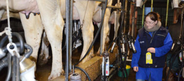 La collecte de données en élevage laitier