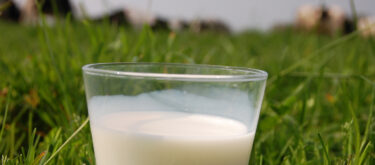 Pourquoi contrôler la qualité du lait ?