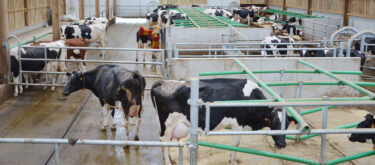 Diagnostic d'ambiance de vos bâtiments : halte aux courants parasites