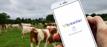 Visuel Breeder