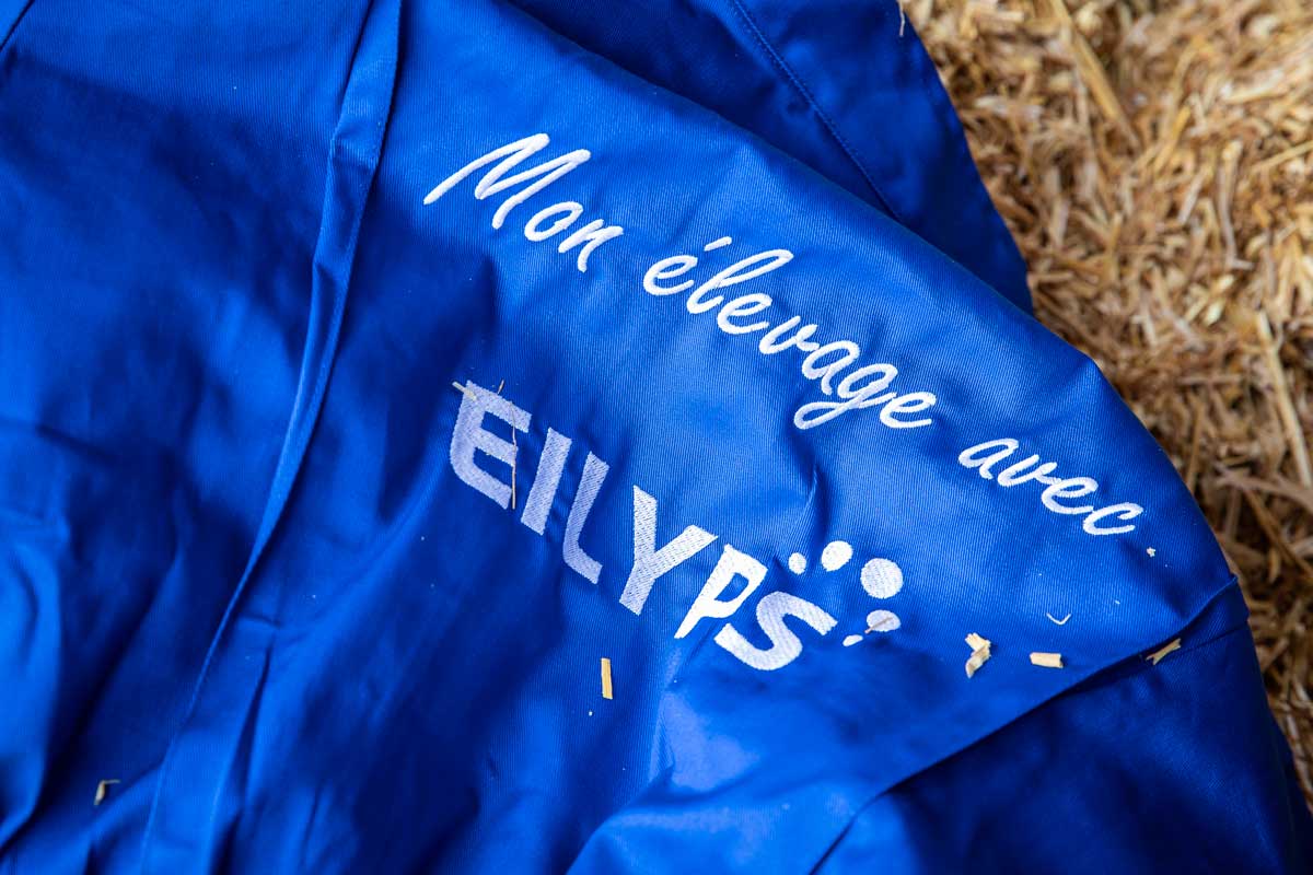 En élevage