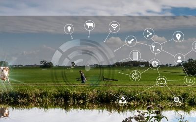 Collecte de données : la nouvelle carte de services