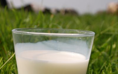 Nouvel étalon et gestion de troupeau : Comment gérer la qualité du lait à partir du mois d’avril 2021 ?