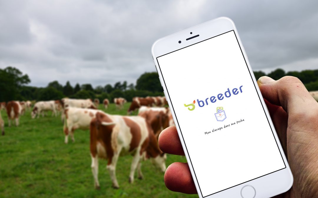 Déclarez vos mouvements d’animaux sur BREEDER
