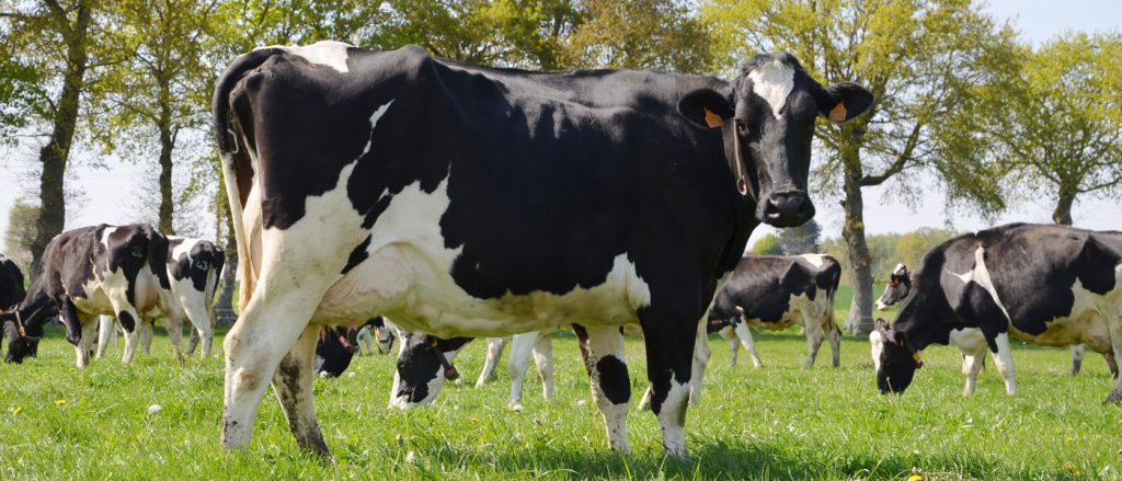 conseils conversion élevage bio
