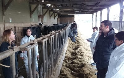 Formations éleveurs : approfondissez vos connaissances en parage, génisse, bio et nutrition