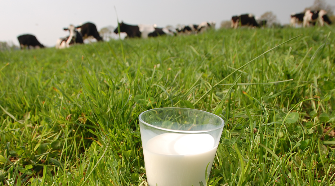 Chiffres et indicateurs du prix du lait : des indicateurs encourageants