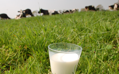 Chiffres et indicateurs du prix du lait : des indicateurs encourageants