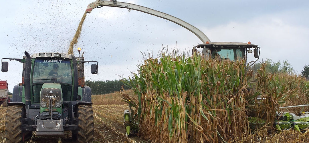 Observations des ensilages 2021
