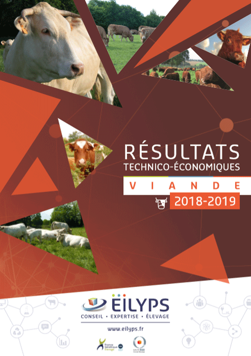 Rapport viande 2018-2019