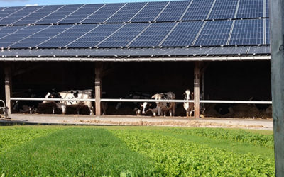 Découvrez « L’exploitation de demain » : autonomie énergétique / confort de travail / innovation