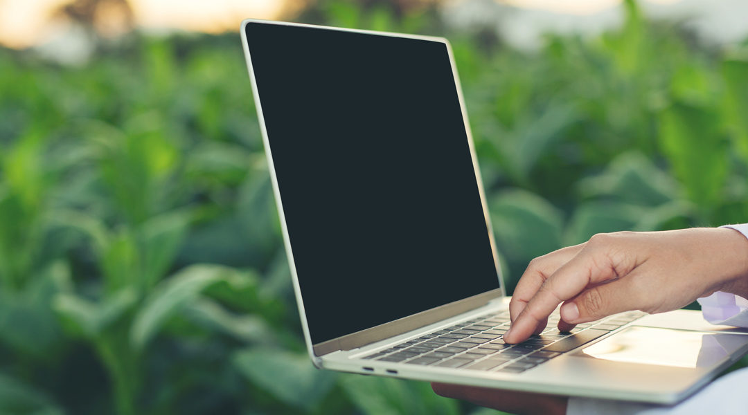 Producteurs laitiers : fixez votre cap GTE