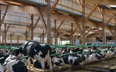 PCAEA 2020 – Dernière ligne droite pour se lancer dans le programme !