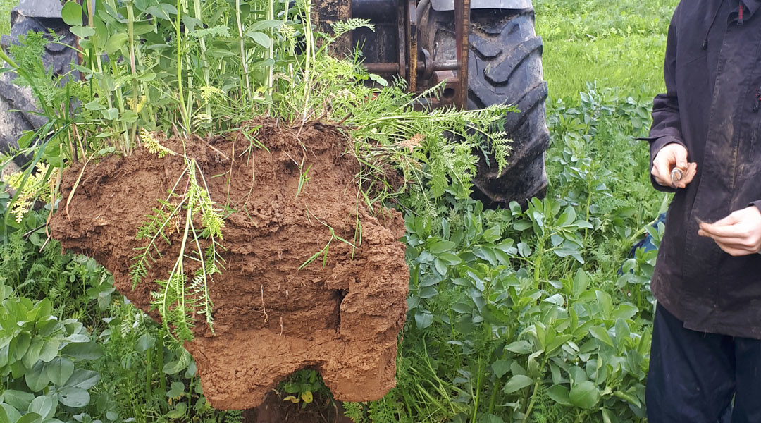 Répondre au tassement des sols engendré par les conditions météorologiques