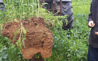 Répondre au tassement des sols engendré par les conditions météorologiques
