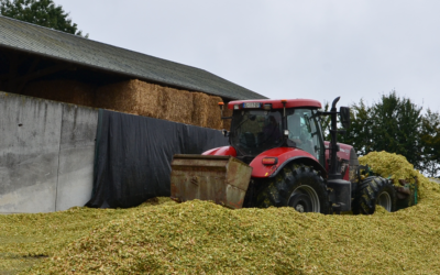Mycotoxines des maïs ensilage en Bretagne