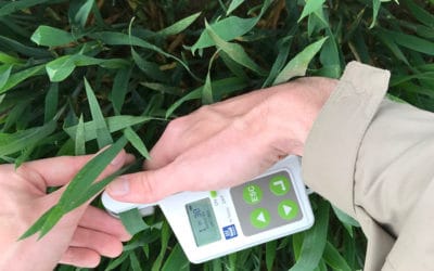 Céréales : ajustez la fertilisation