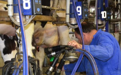 COVID-19 : Anticipez un remplacement en cas d’arrêt maladie