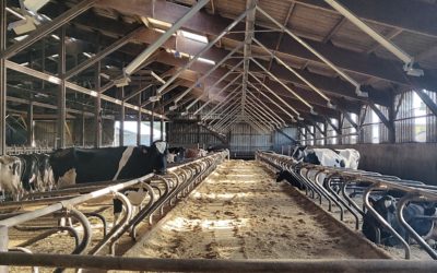 L’été revient… les chaleurs aussi : avez-vous pensé à la ventilation du bâtiment ?