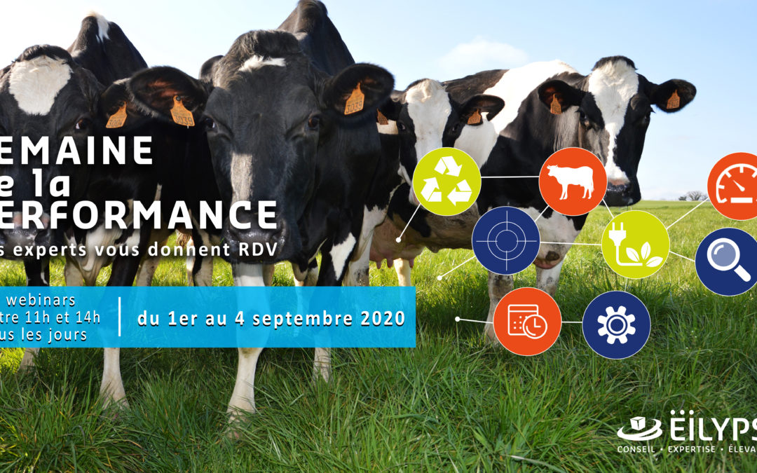 Semaine de la performance du 1er au 4 septembre 2020