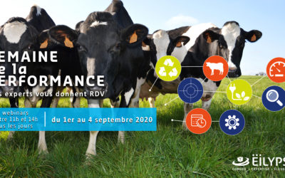 Semaine de la performance du 1er au 4 septembre 2020