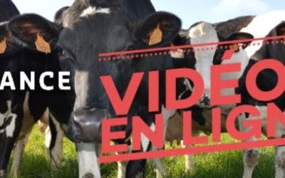 REPLAY – Semaine de la performance du 1er au 4 septembre 2020