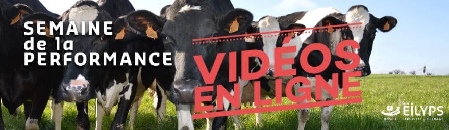 REPLAY – Semaine de la performance du 1er au 4 septembre 2020