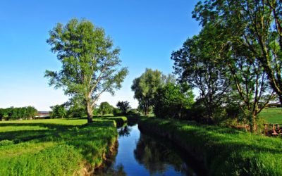Améliorez vos performances agronomiques en réduisant l’impact sur votre milieu