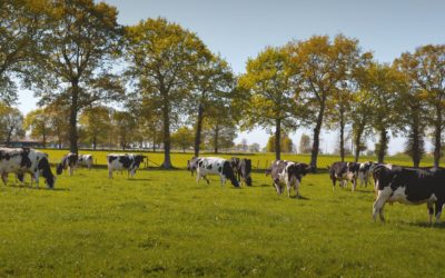 Breeder Café : Les experts viennent à votre rencontre