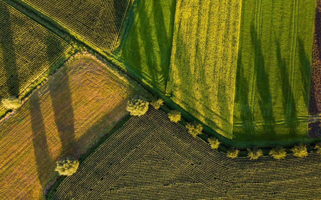 Certification HVE, valorisez votre engagement dans la transition agroécologique !