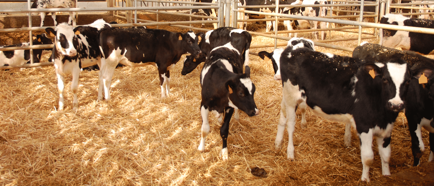 Formation agricoles : les remèdes naturels