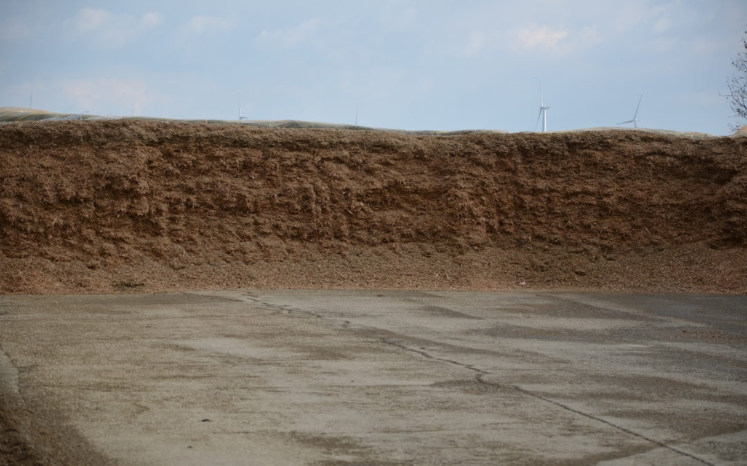 San’élevage – Offre morte saison SILO