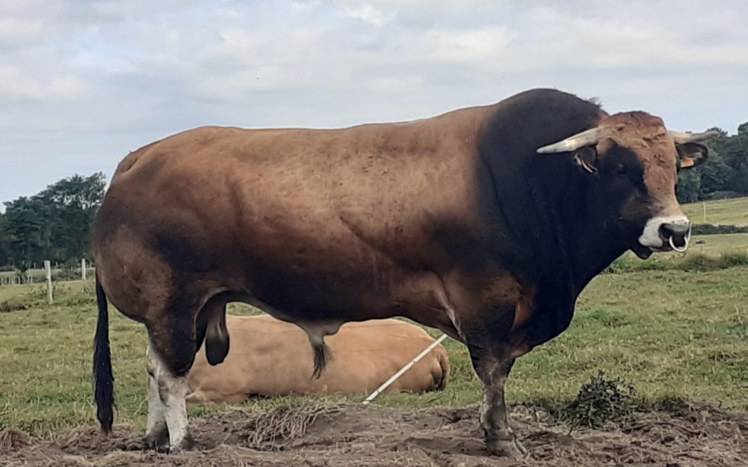 [Viande] Portes ouvertes jeudi 17 février à Lanester