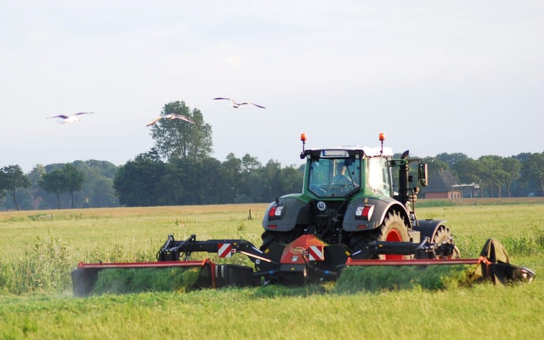 Optimiser la couverture en protéine de sa ration par l’ensilage d’herbe