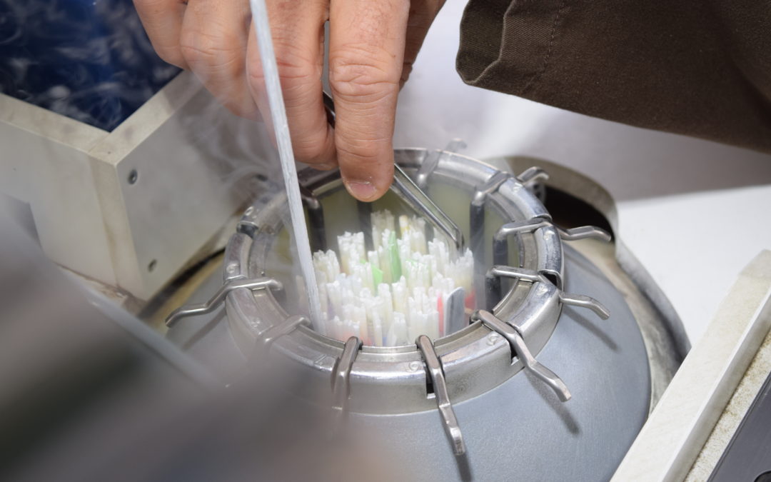 Votre plan de cuve en ligne avec Breeder