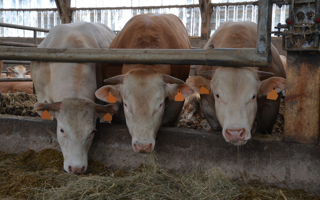 [Viande] Portes ouvertes mardi 14 juin 2022 à La Mézière