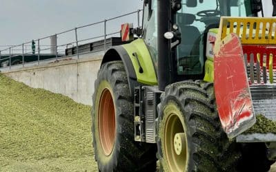 Maïs ensilage 2022, quels impacts sur la production et la Marge sur Coût Alimentaire ?