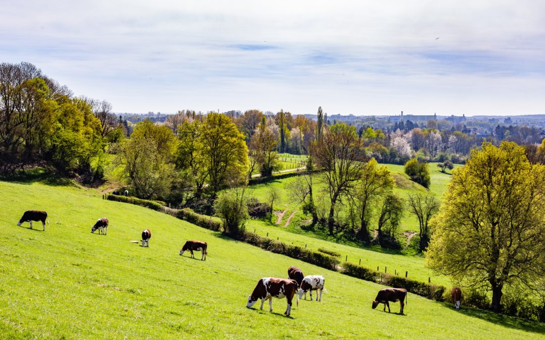 Dispositif AGRI BAS CARBONE : jusqu’à 1 770€ de financement proposé aux éleveurs bretons pour réduire leur empreinte carbone.