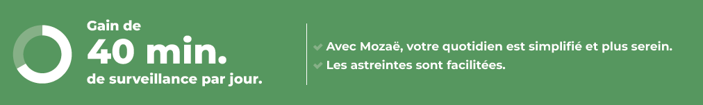 Mozaë chiffre