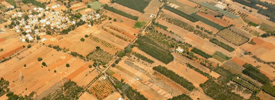 Anticipez l’obligation du registre phytosanitaire numérique dès 2026