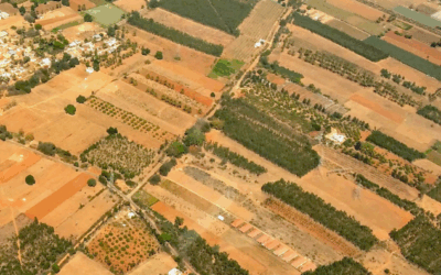 Anticipez l’obligation du registre phytosanitaire numérique dès 2026