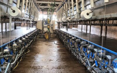 Pourquoi contrôler sa machine à traire ? Impact sur le lait et le troupeau