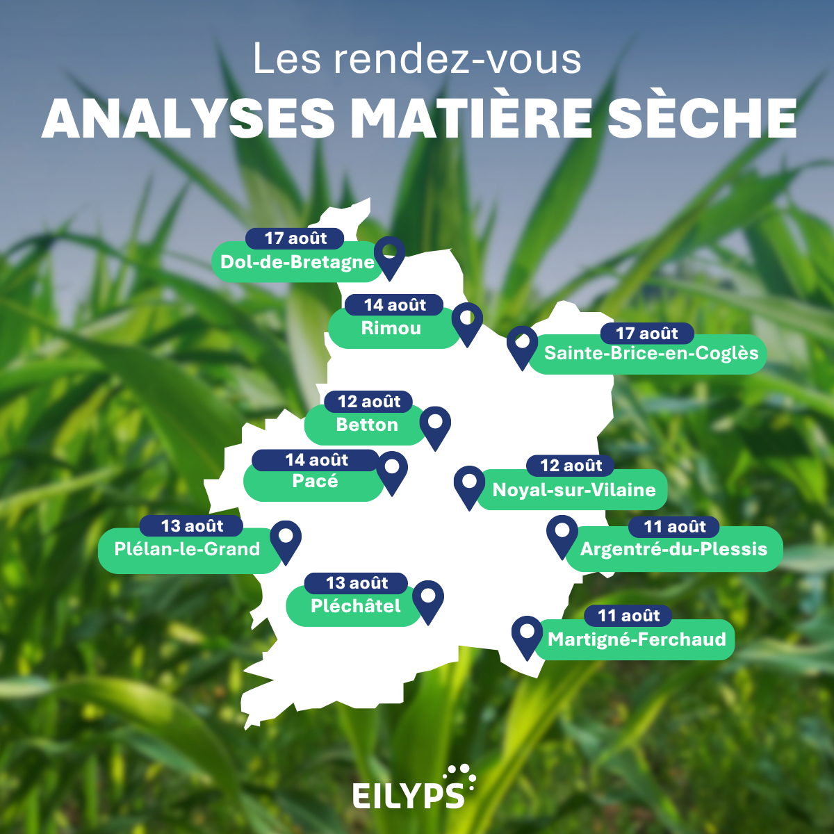 
Rendez-vous 

Analyses Matière Sèche Maïs Vert 